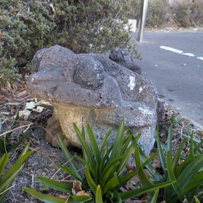 「カエル」がつなぐ、民医連の縁 - 栃木県民主医療機関連合会 - お知らせ